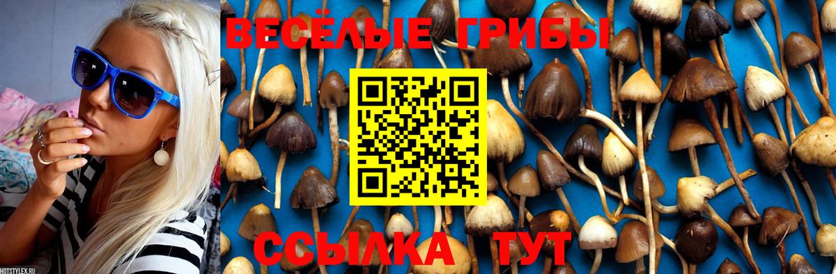 Галлюциногенные грибы GOLDEN TEACHER  Галлюциногенные грибы GOLDEN TEACHER  Котовск  Вход с VPN 
